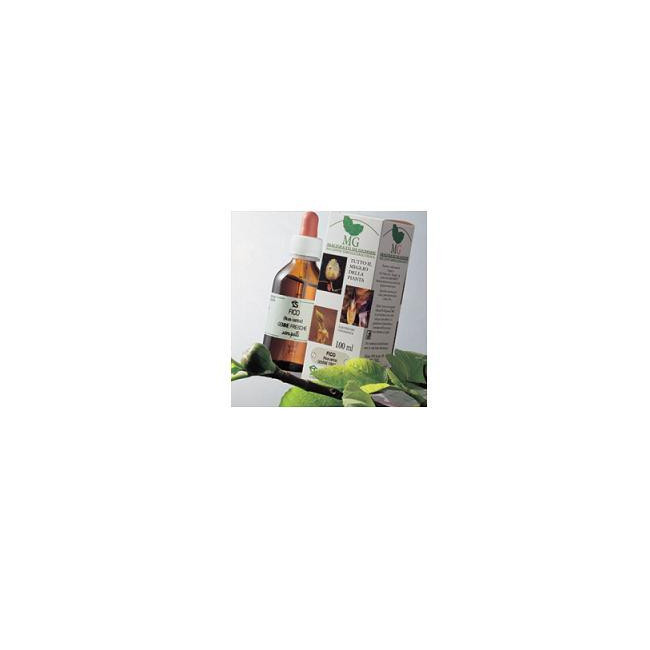 IPPOCASTANO 100ML MG IPPOCASTANO 100ML MG