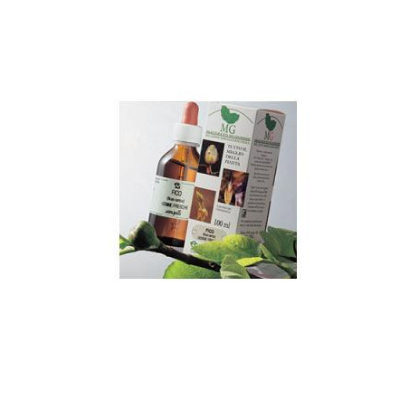 IPPOCASTANO 100ML MG