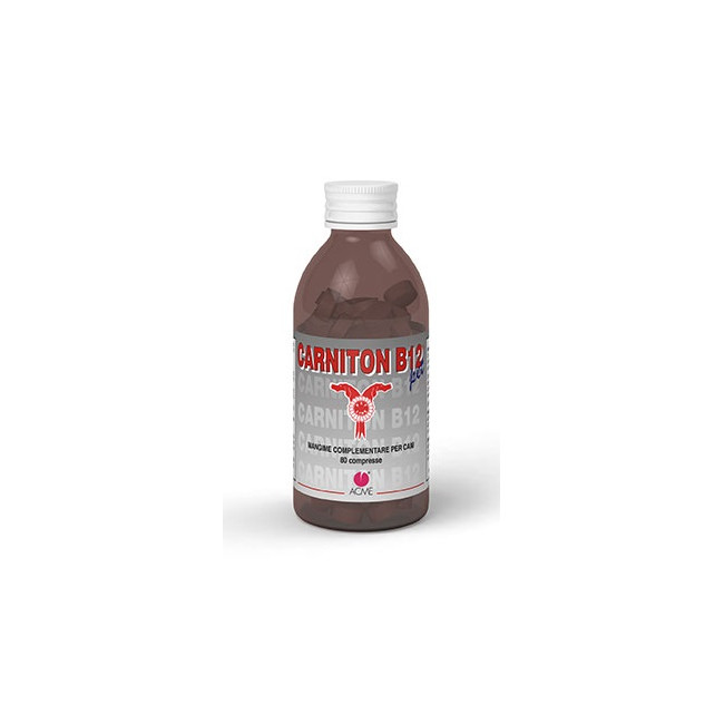 CARNITON B 12 80 COMPRESSE CARNITON B 12 80 COMPRESSE