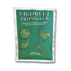 PROMOTER VIGORVET BUSTA 100 G