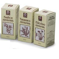 OLIO GERME GRANO 100 ML 501