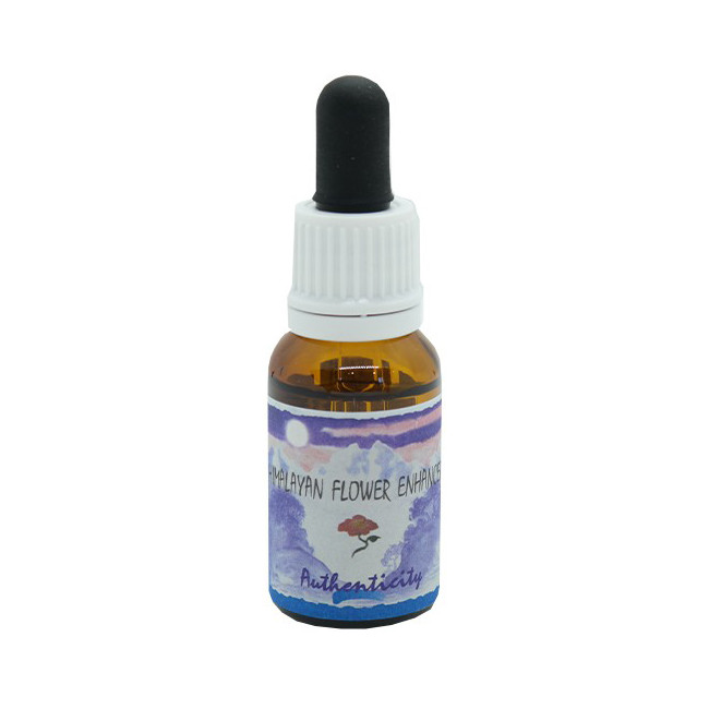 AUTHENTICITY ESSENZA 15 ML 1 PEZZO AUTHENTICITY ESSENZA 15 ML 1 PEZZO