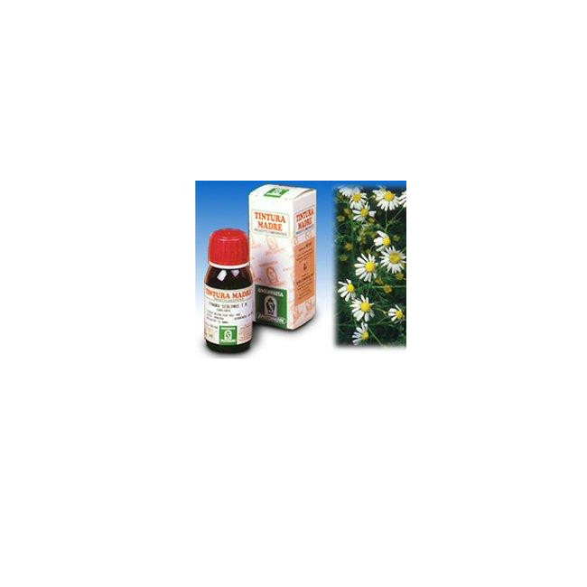 CAMOMILLA 7 50ML TM CAMOMILLA 7 50ML TM