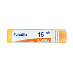 PULSATILLA 15CH GR