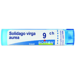 SOLIDAGO VIRGA AUREA 9CH GRANULI