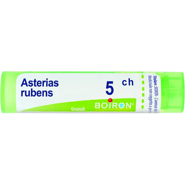 ASTERIAS RUBENS 5CH GRANULI ASTERIAS RUBENS 5CH GRANULI