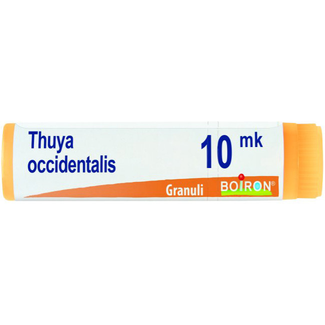 THUYA OCCIDENTALIS XMK GLOBULI THUYA OCCIDENTALIS XMK GLOBULI