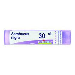 SAMBUCUS NIGRA*30CH 80GR 4G