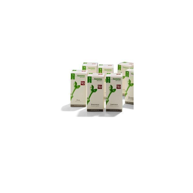 LENTISCO 200ML MG LENTISCO 200ML MG