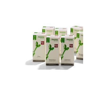 LENTISCO 200ML MG