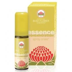 CONCENTRATION SPRAY ORALE 20 ML