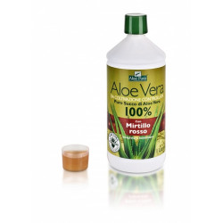 ALOE VERA SUCCO MIRTILLO ROSSO 1 L