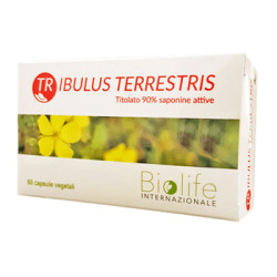 TRIBULUS TERRESTRIS 60 CAPSULE