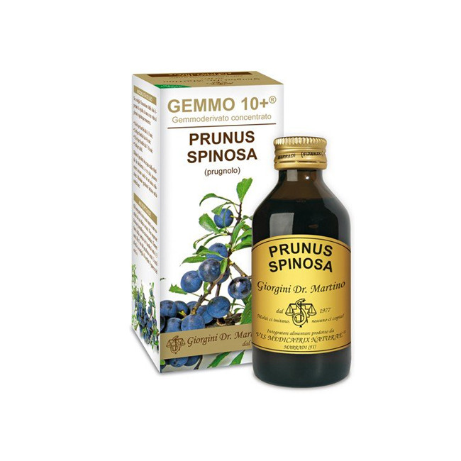 GEMMO 10+ PRUGNOLO 100 ML LIQUIDO ANALCOLICO GEMMO 10+ PRUGNOLO 100 ML LIQUIDO ANALCOLICO