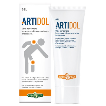 ARTIDOL GEL 100 ML ARTIDOL GEL 100 ML