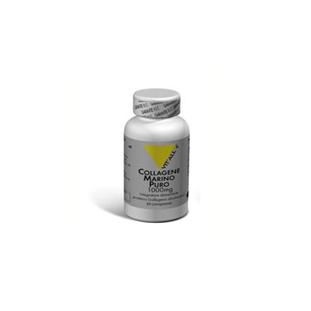 VITAL PLUS COLLAGENE MARINO PU