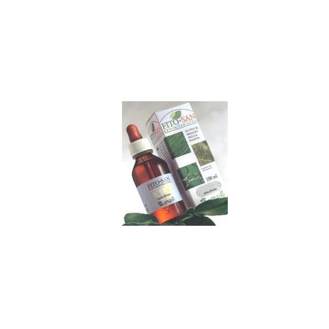 EQUISETO FRONDE STE 100ML TM EQUISETO FRONDE STE 100ML TM