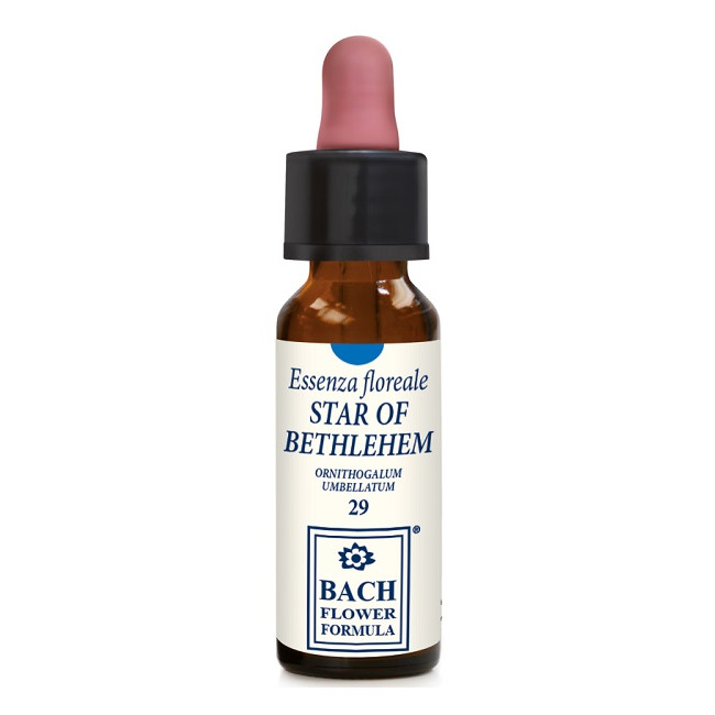 STAR OF BETHLEHEM 10 ML GOCCE STAR OF BETHLEHEM 10 ML GOCCE