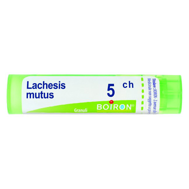 LACHESIS MUTUS 5 CH GRANULI LACHESIS MUTUS 5 CH GRANULI