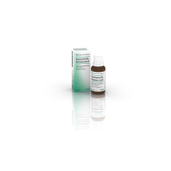 HAMAMELIS-HOMACCORD*OS GTT30ML