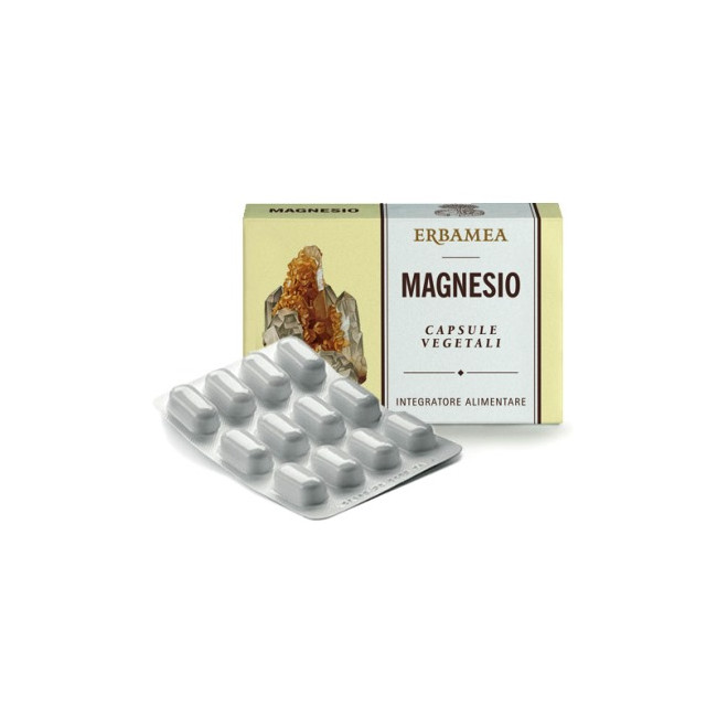 MAGNESIO 24 CAPSULE 1200 MG MAGNESIO 24 CAPSULE 1200 MG