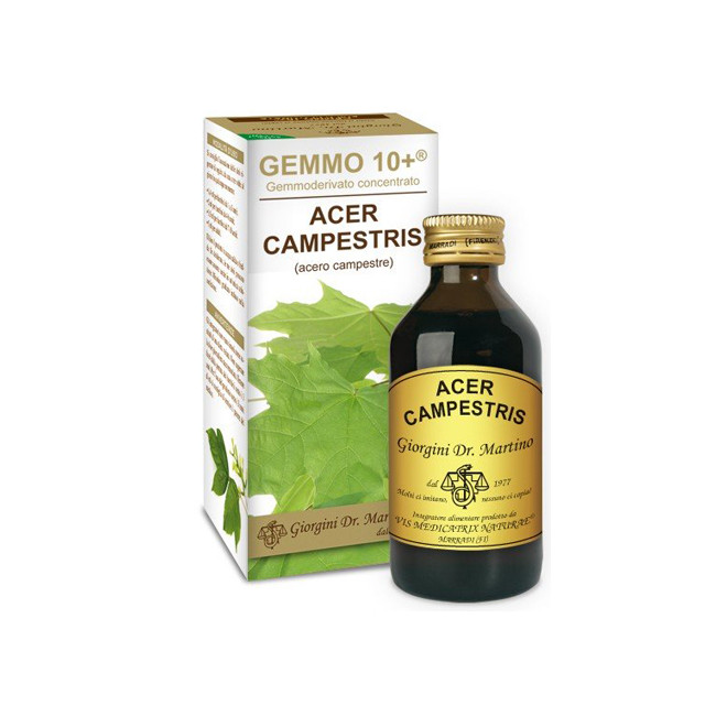 GEMMO 10+ ACERO CAMPESTRE 100 ML LIQUIDO ANALCOLICO GEMMO 10+ ACERO CAMPESTRE 100 ML LIQUIDO ANALCOLICO