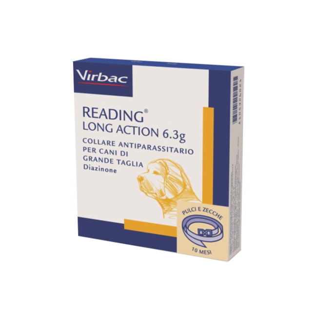 READING LONG ACT*CANI GRANDI READING LONG ACT*CANI GRANDI