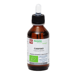 CARPINO MACERATO GLICERINATO BIO 100 ML