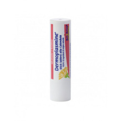 DERMOPLASMINE STICK LABBRA CALENDULA IDRATANTE E LENITIVO 4 G