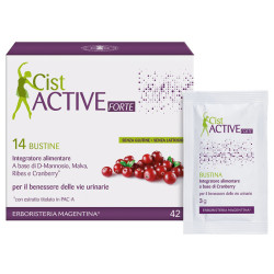 CIST ACTIVE BUSTINE 14 BUSTINE