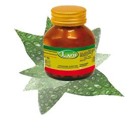 OLIO DI ENOTHERA BORRAGINE 50 PERLE