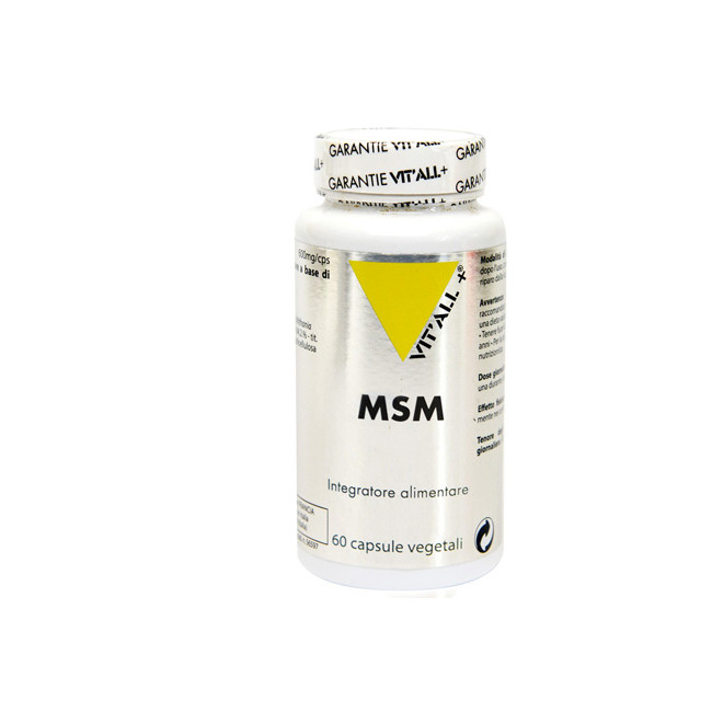 MSM 60 CAPSULE MSM 60 CAPSULE