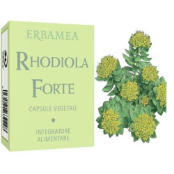 RHODIOLA FORTE 24 CAPSULE