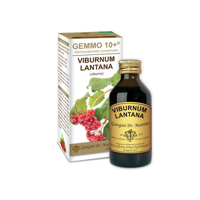 VIBURNO LIQUIDO ANALCOLICO GEMMO 10+ 100 ML VIBURNO LIQUIDO ANALCOLICO GEMMO 10+ 100 ML