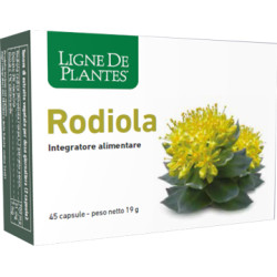 RODIOLA 45 CAPSULE