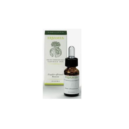 MENTA PIPERITA OLIO ESSENZIALE 10 ML