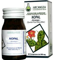 NOPAL 60 CAPSULE 500 MG