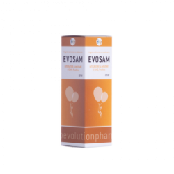 EVOSAM 50 ML GUSTO MENTA
