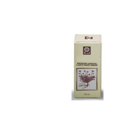 GINKGO BILOBA ESTRATTO ANALCOLICO 50 ML