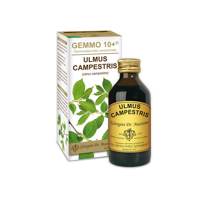 GEMMO 10+ OLMO CAMPESTRE 100 ML LIQUIDO ANALCOLICO GEMMO 10+ OLMO CAMPESTRE 100 ML LIQUIDO ANALCOLICO