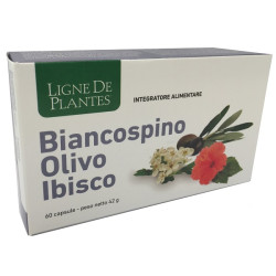 BIANCOSPINO OLIVO IBISCO 60 CAPSULE