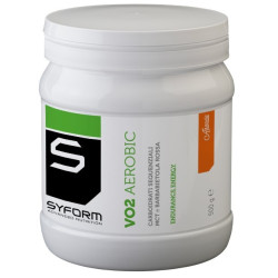 VO2 AEROBIC ARANCIA POLVERE 500 G