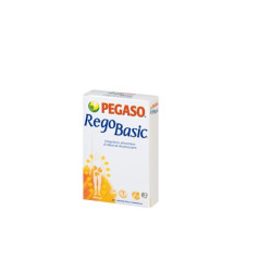 PEGASO Regobasic 12bust