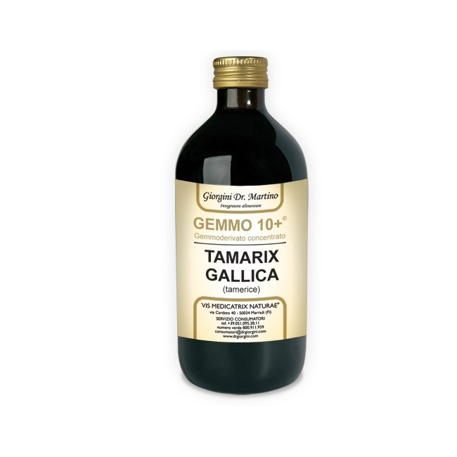 GEMMO 10+ GEMMODERIVATO CONCENTRATO LIQUIDO ANALCOLICO TAMARIX GALLICA TAMERICE 500 ML GEMMO 10+ GEMMODERIVATO CONCENTRATO LIQUIDO ANALCOLICO TAMARIX GALLICA TAMERICE 500 ML