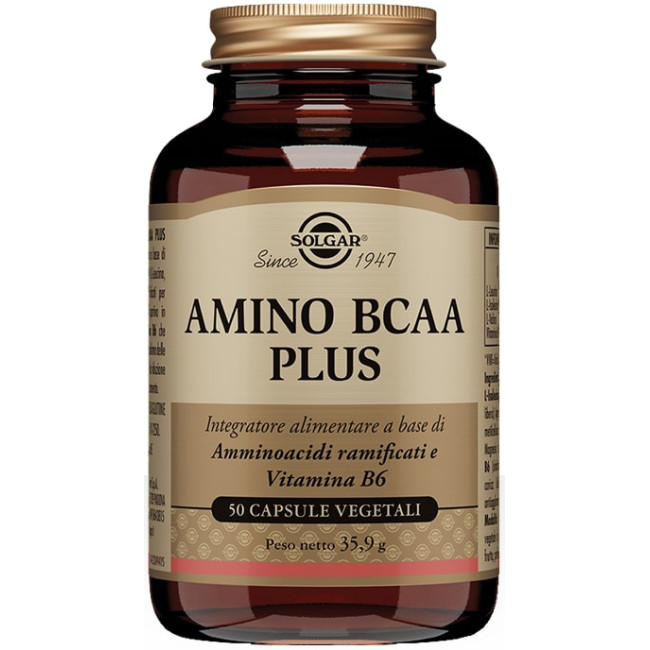 AMINO BCAA PLUS 50 CAPSULE AMINO BCAA PLUS 50 CAPSULE