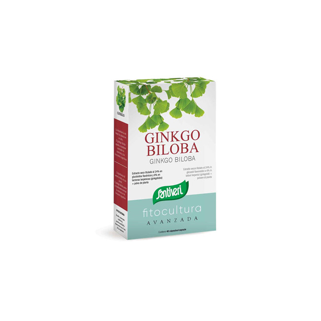 GINKGO BILOBA 40 CAPSULE GINKGO BILOBA 40 CAPSULE
