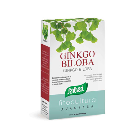GINKGO BILOBA 40 CAPSULE
