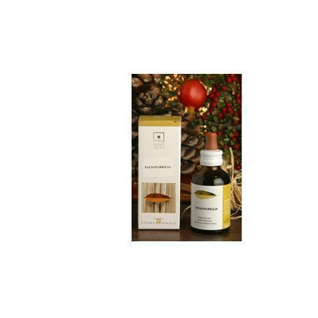 EQUISETO BIO TM 50ML STV