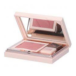 DEFENCE COLOR PRETTY TOUCH FARD COMPATTO 303 BOIS DE ROSE