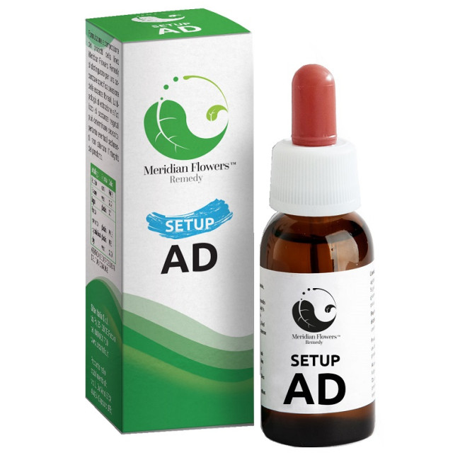 SETUP AD 10 ML MERIDIAN FLOWERS REMEDY SETUP AD 10 ML MERIDIAN FLOWERS REMEDY